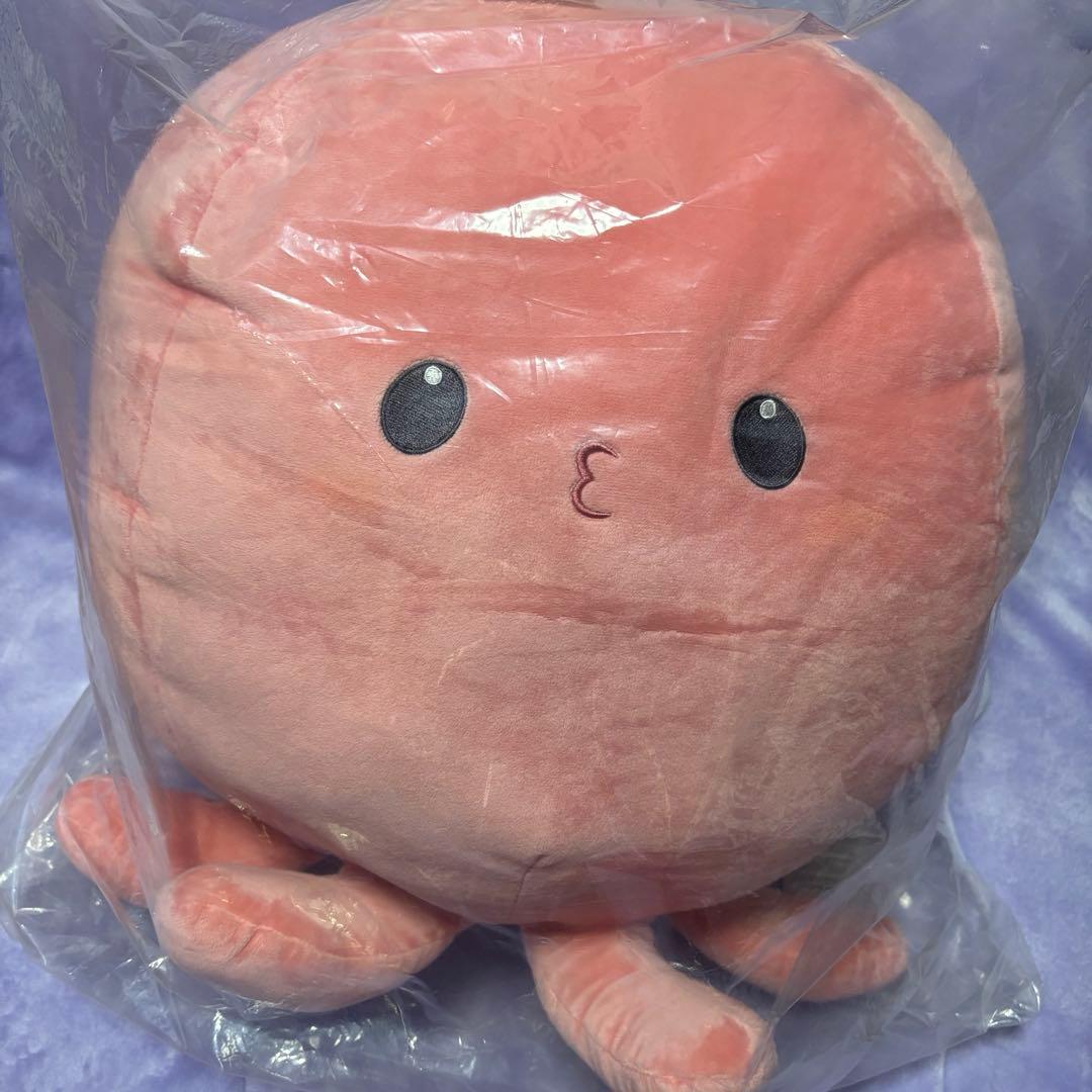みかんみかん　5点セット