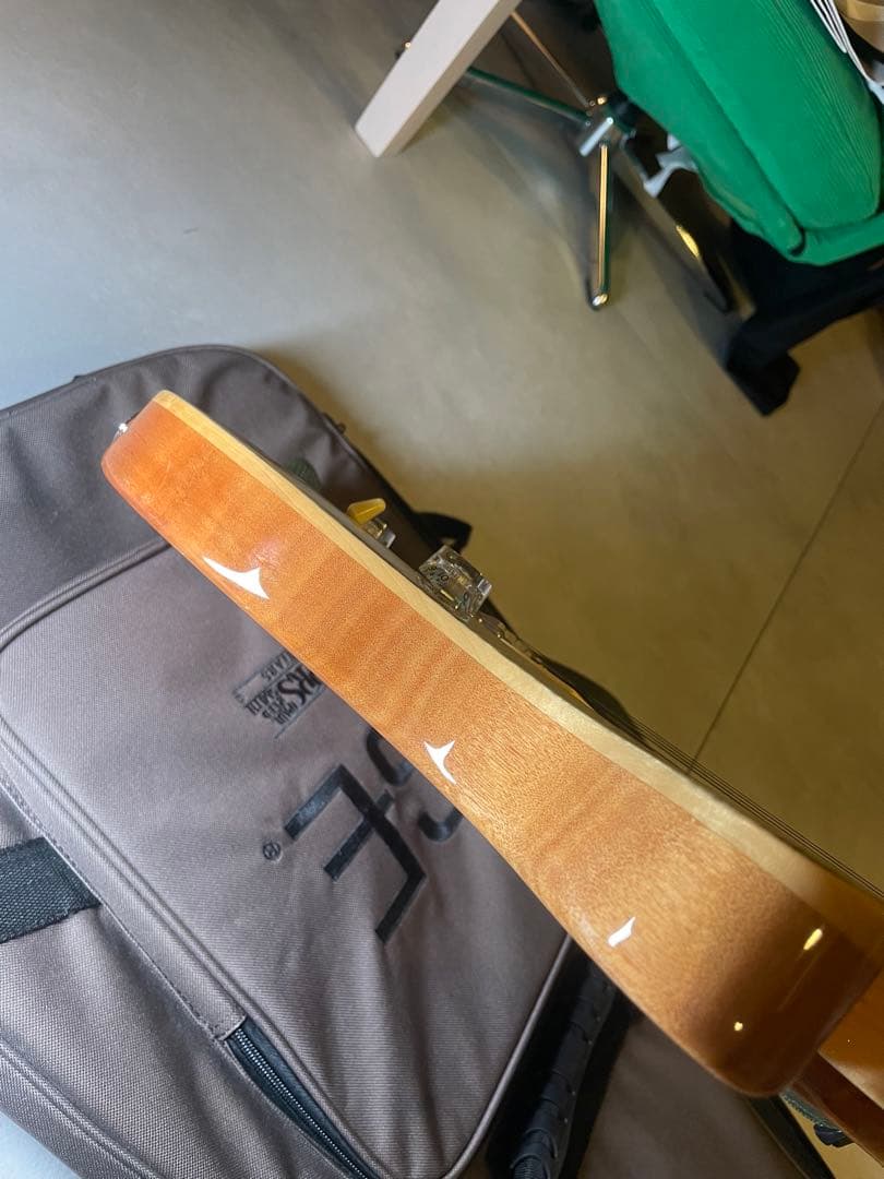 洋*平様 PRS SE custom24 Trampas Green