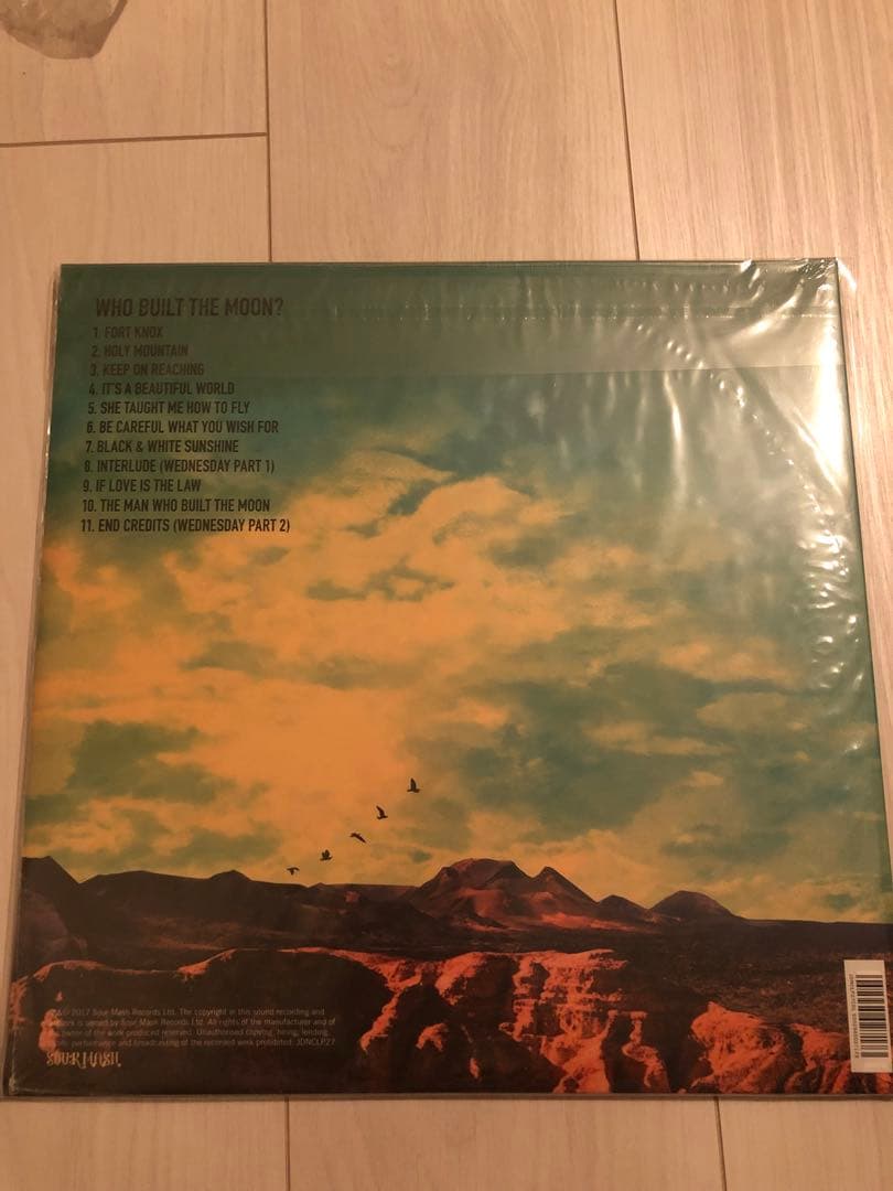 新品 Who built the moon カラーレコード noel oasis