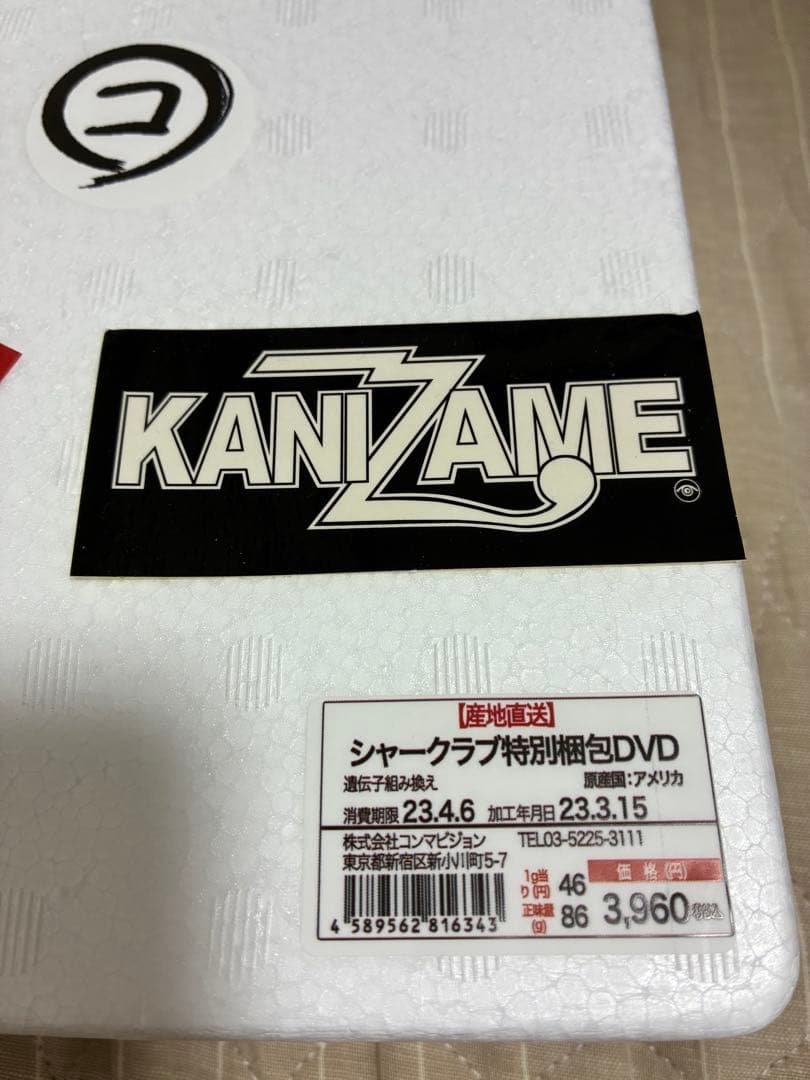 KANIZAME シャークラブ コンマビジョン 限定盤