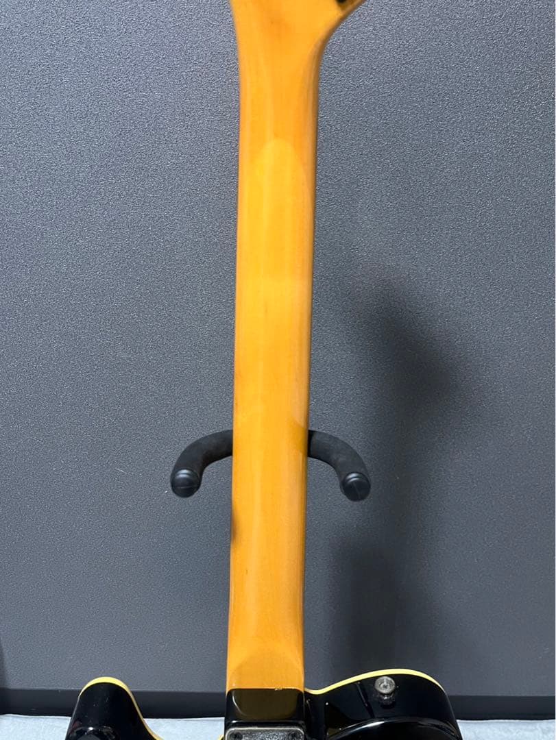 Fernandes フェルナンデス TEJ-45 Limited Edition
