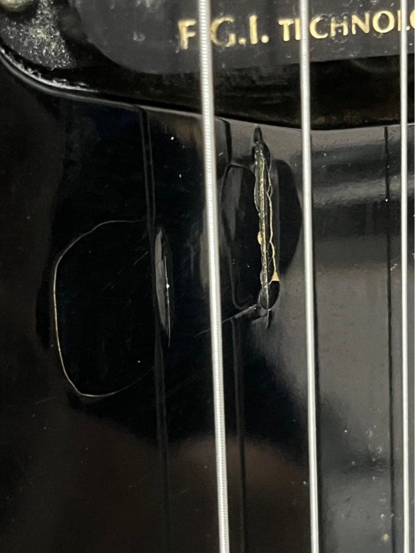 Fernandes フェルナンデス TEJ-45 Limited Edition