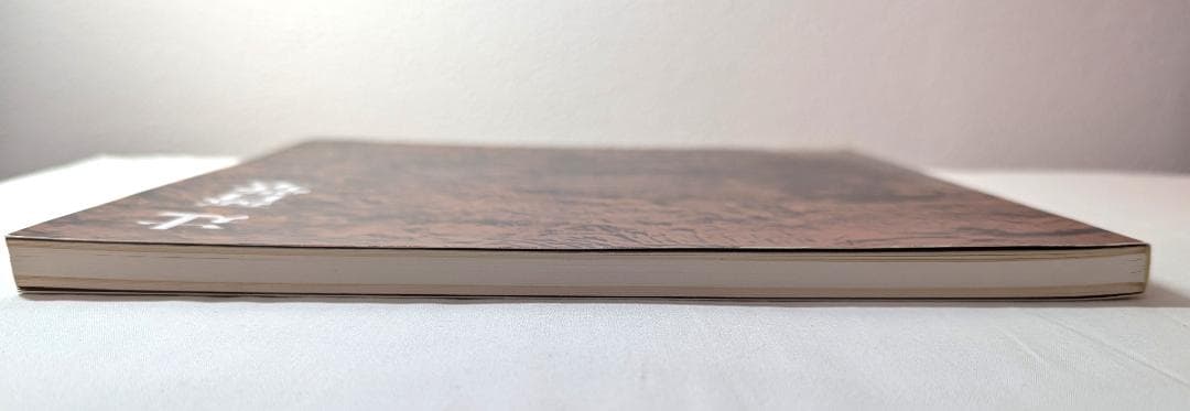 辻晋堂『現代彫刻の異才 辻晉堂展』1983年。