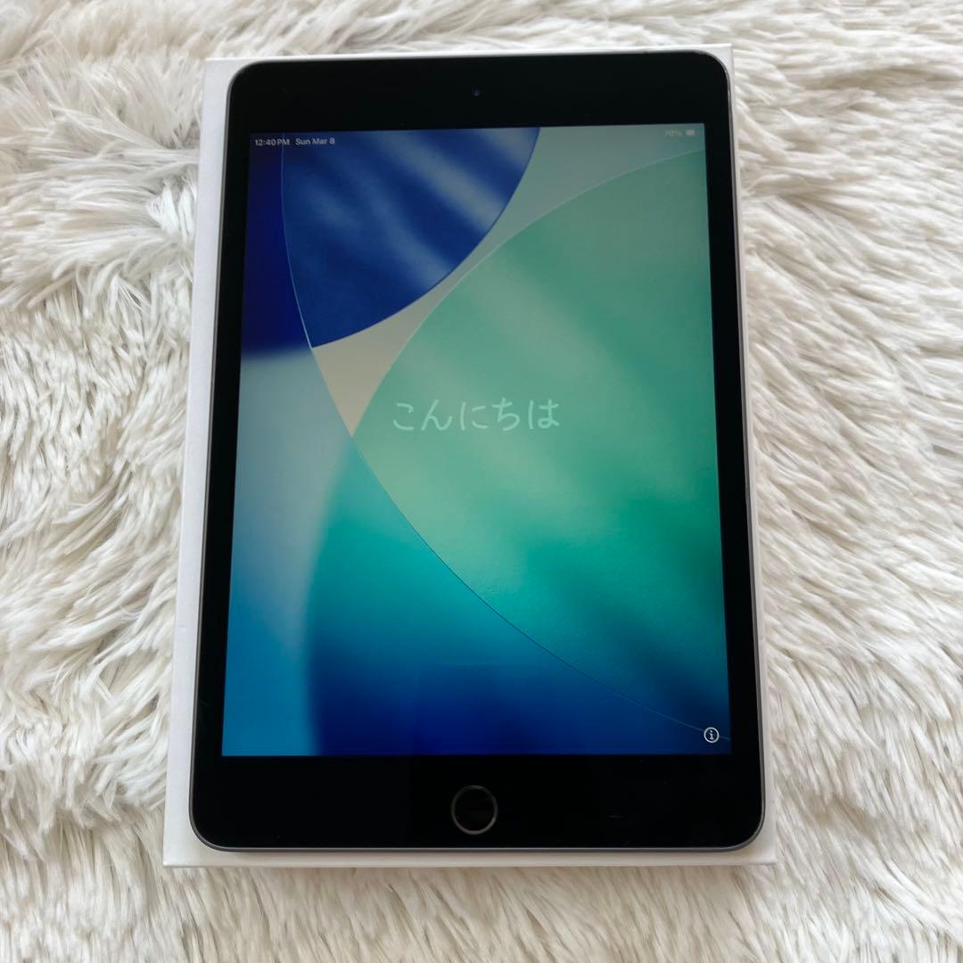 【ラスト1台】iPad mini5 256GB SIMフリー【すぐ発送】