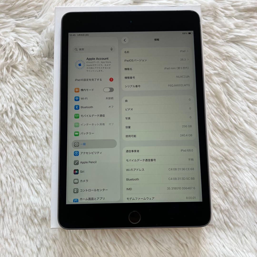 【ラスト1台】iPad mini5 256GB SIMフリー【すぐ発送】