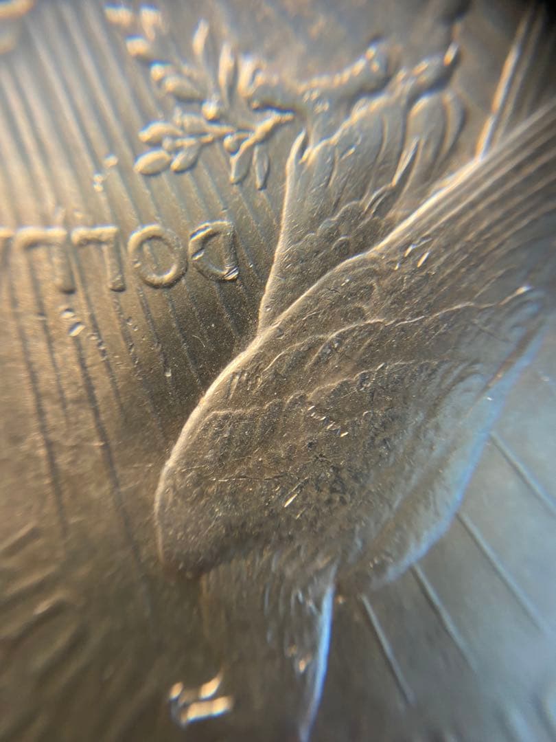PCGS NCG アンティーク　銀貨　モルガンダラー　ピースダラー