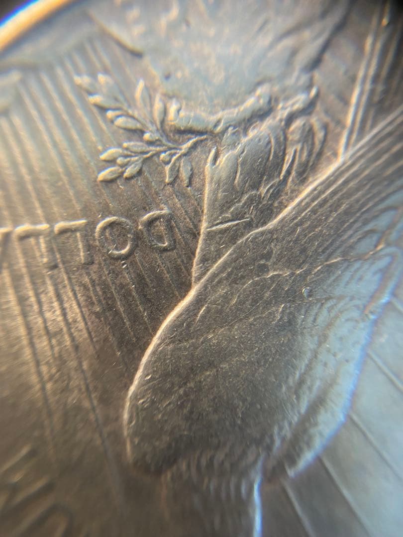 PCGS NCG アンティーク　銀貨　モルガンダラー　ピースダラー