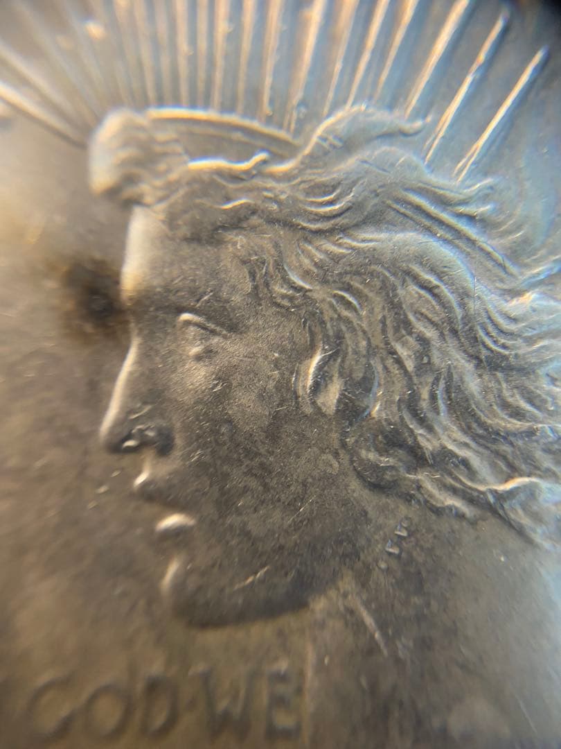PCGS NCG アンティーク　銀貨　モルガンダラー　ピースダラー