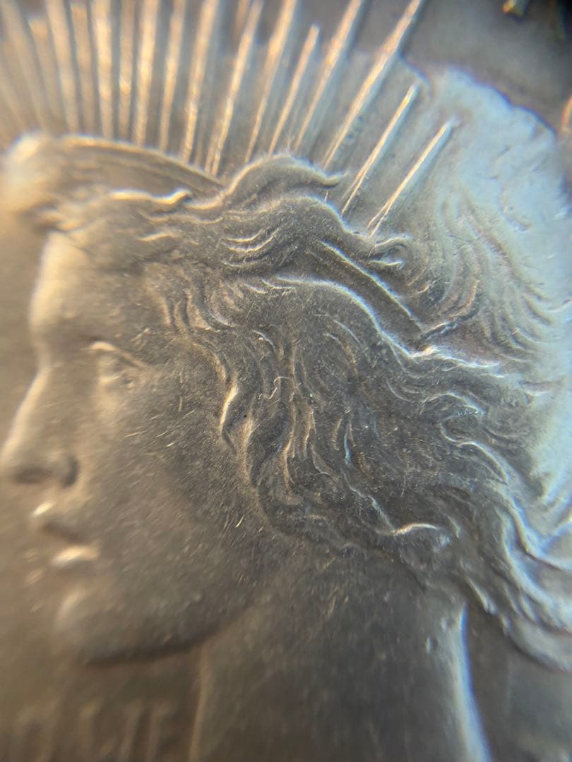 PCGS NCG アンティーク　銀貨　モルガンダラー　ピースダラー