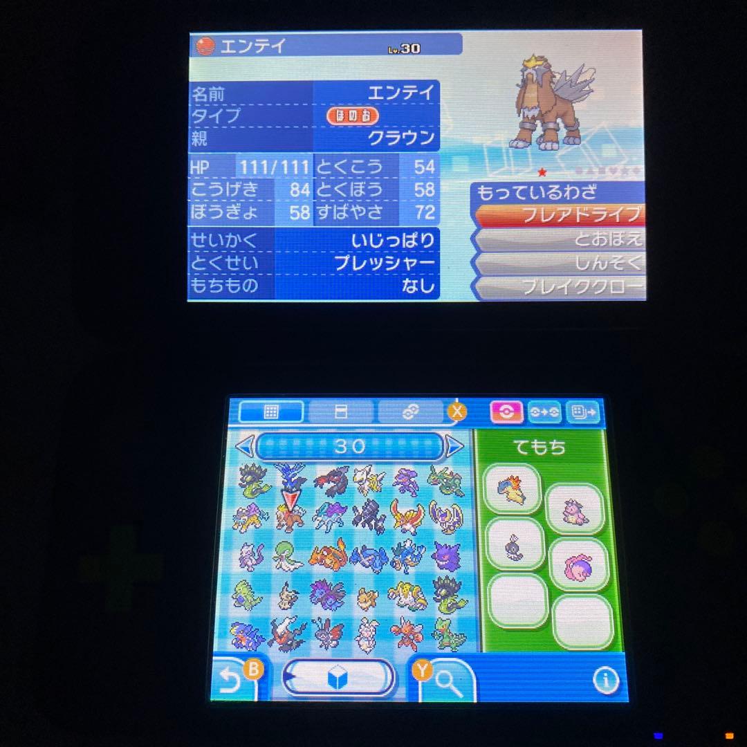 べ*君様 配布ポケモン多数所持　ポケットモンスター ムーン