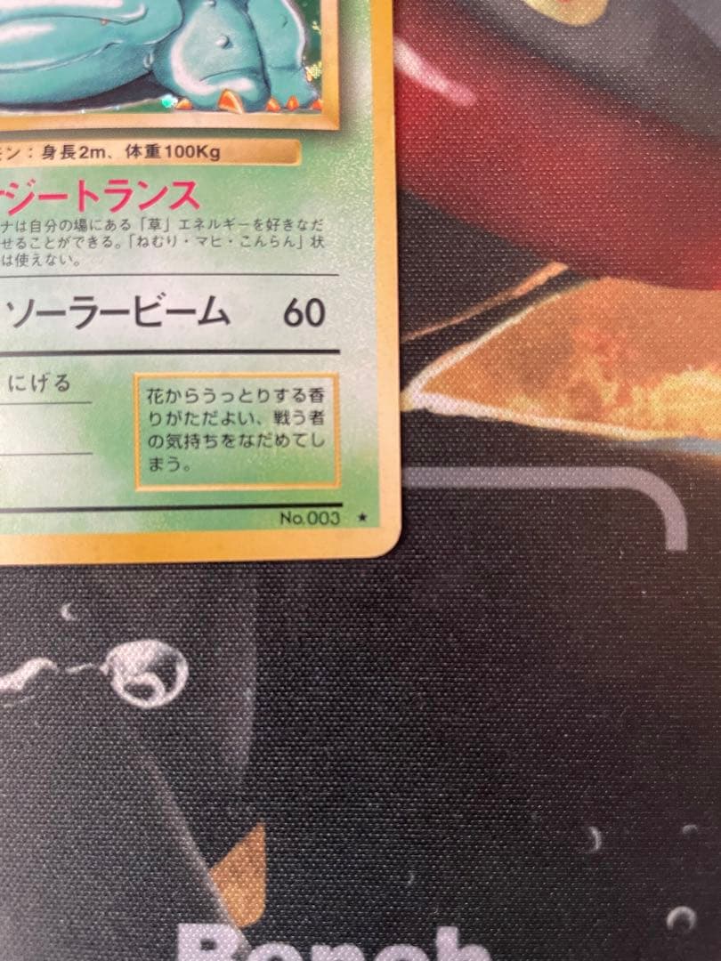 フシギバナ　ミュウツー　 旧裏☆
