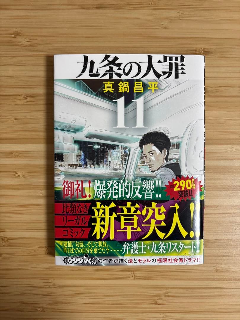 九条の大罪 1-15巻セット