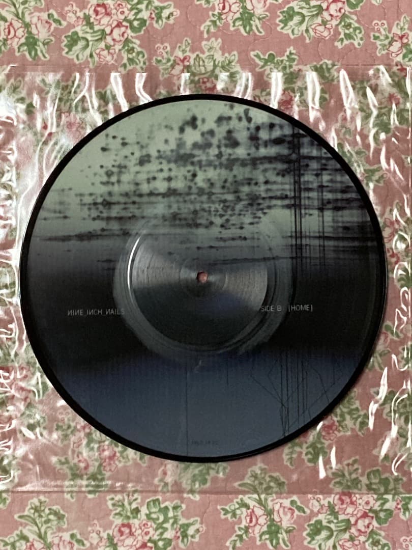 洋楽 NINE INCH NAILS THE HAND THAT FEEDS/