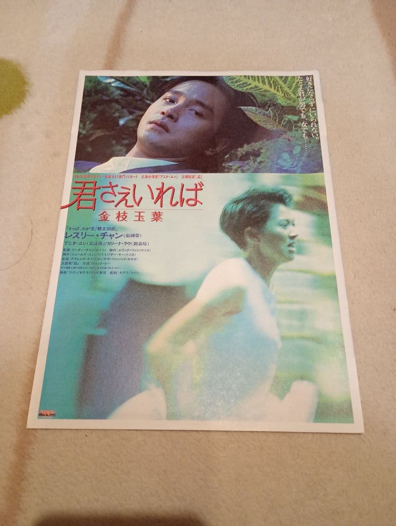 香港映画　君さえいれば 金枝玉葉DVD＋パンフレット＋チラシ