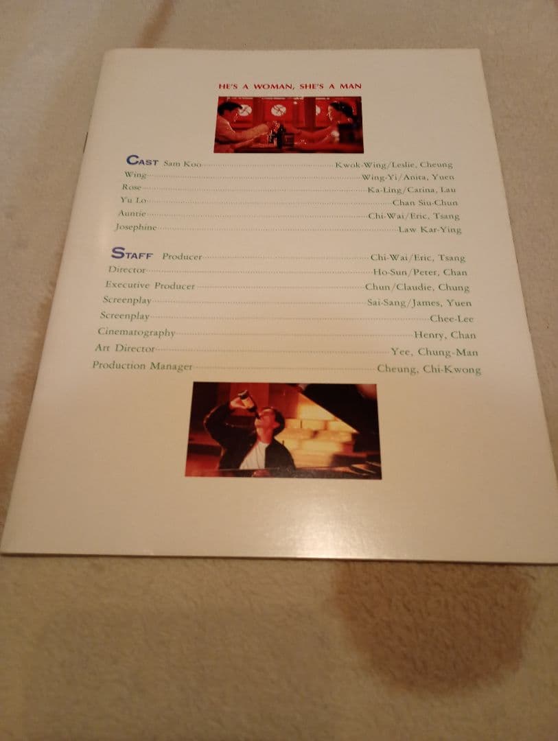 香港映画　君さえいれば 金枝玉葉DVD＋パンフレット＋チラシ