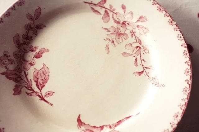 1890s サルグミンヌ 薔薇色の小鳥と実とプレート フランス アンティーク