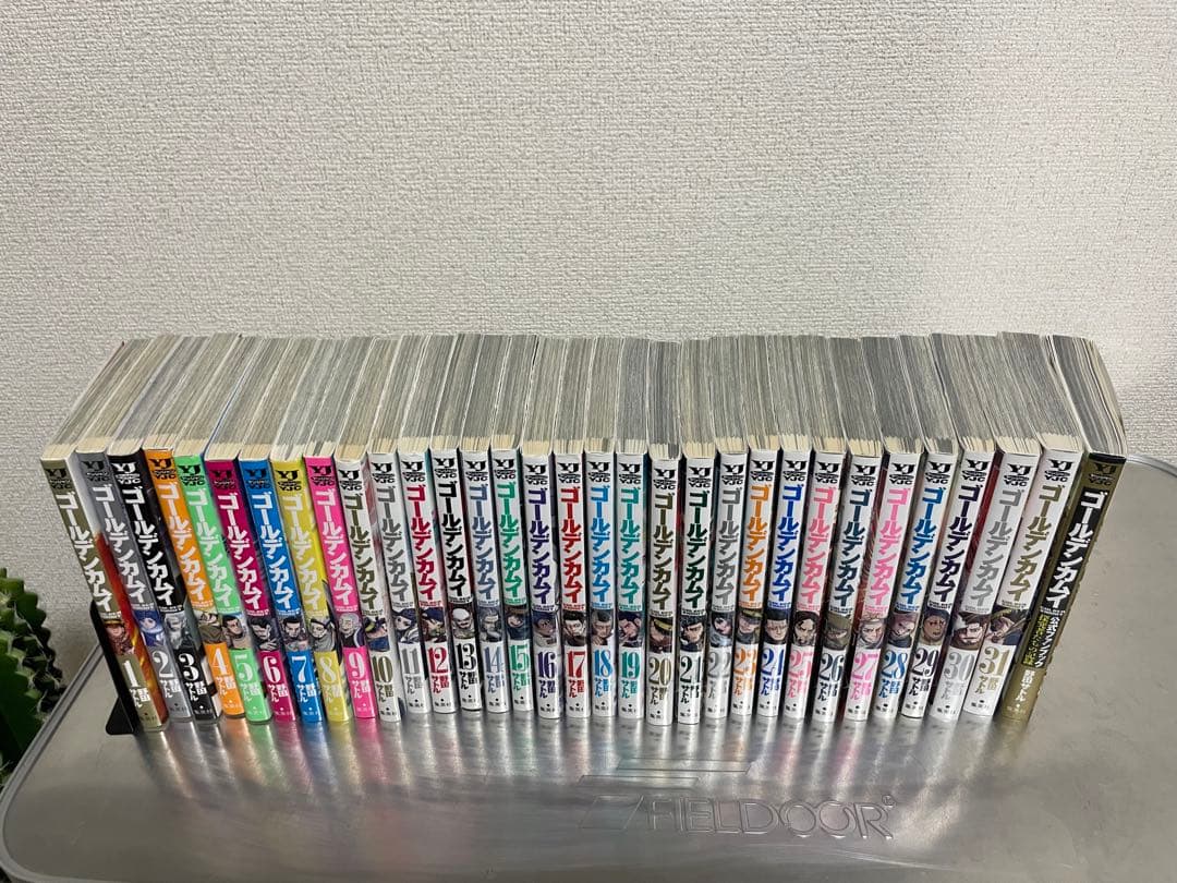 ゴールデンカムイ全巻セット+ファンブック