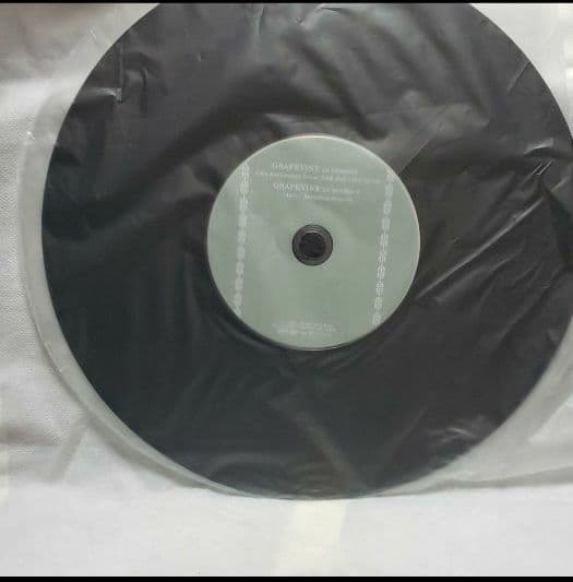 愚かな者の語ること　初回限定　グレイプバイン　CD　DVD　アナログ盤