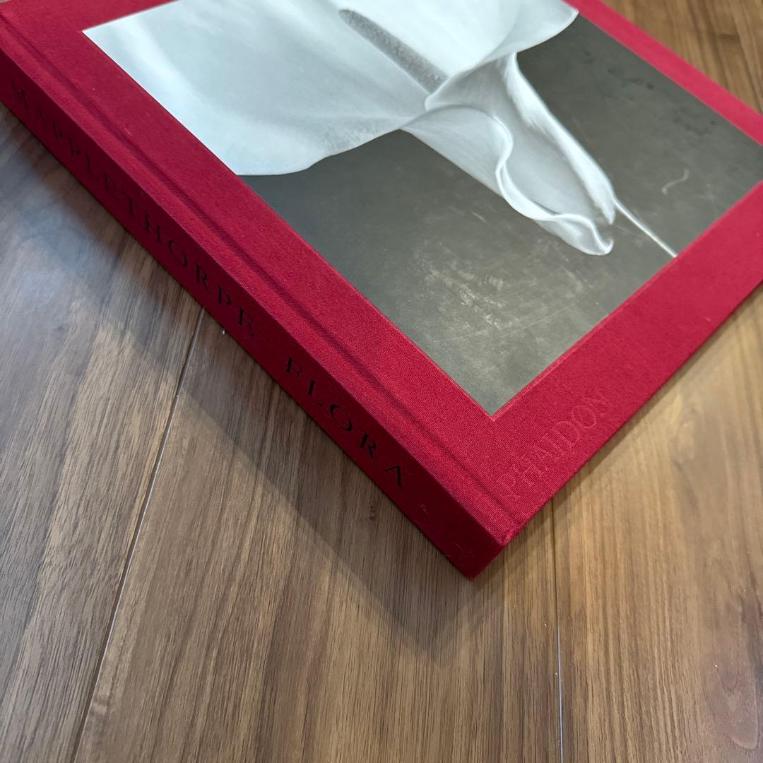 アート・デザイン・音楽 FLORA Mapplethorpe