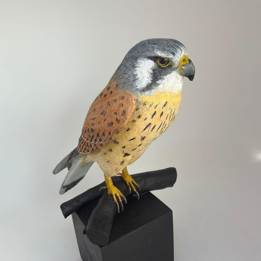 オズボーンさま専用 「チョウゲンボウ」　木彫の野鳥　野鳥彫刻　バードカービング