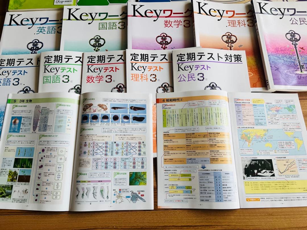 ほぼ新品未使用/高校受験/中学3年/問題集・教材セット/早稲アカ/解答付/最新込