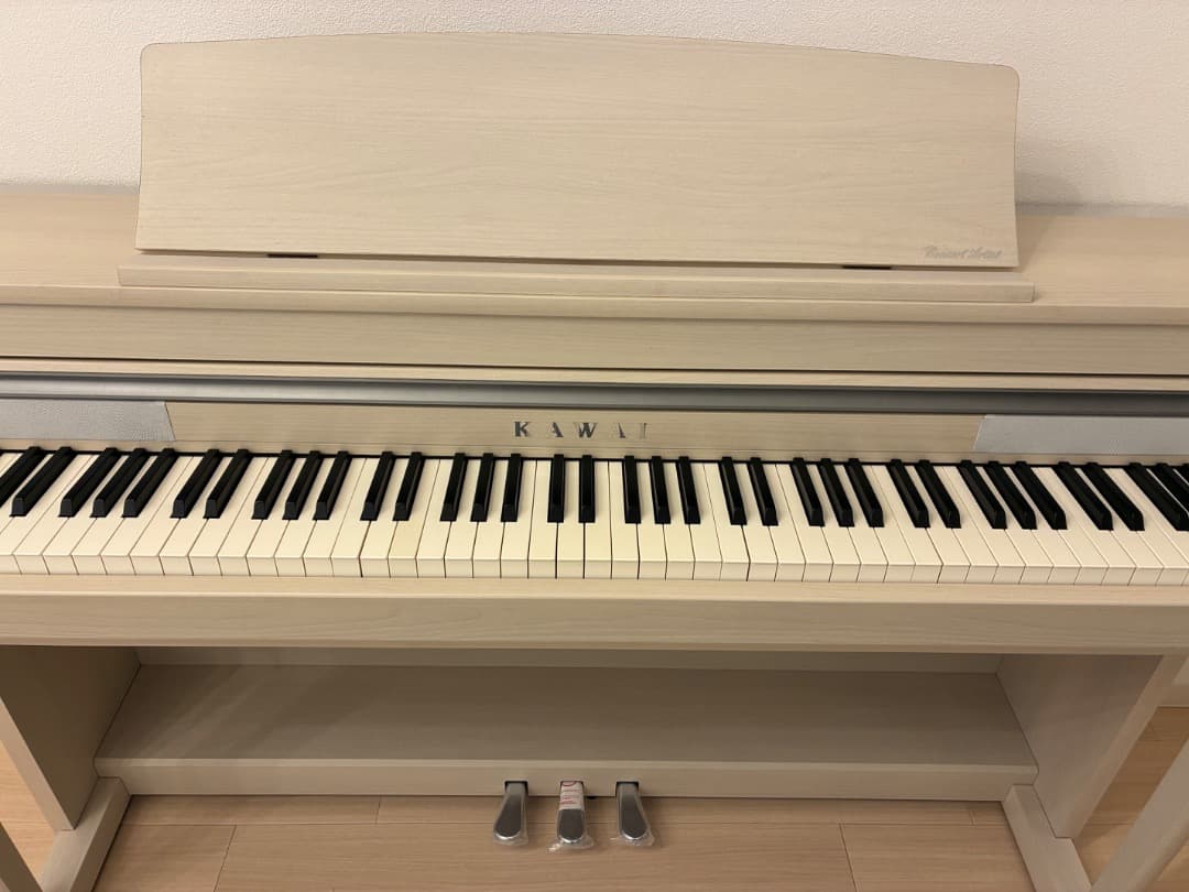 も*じ様 【引取か専門配送：自由が丘】KAWAI 電子ピアノ CA67A （20