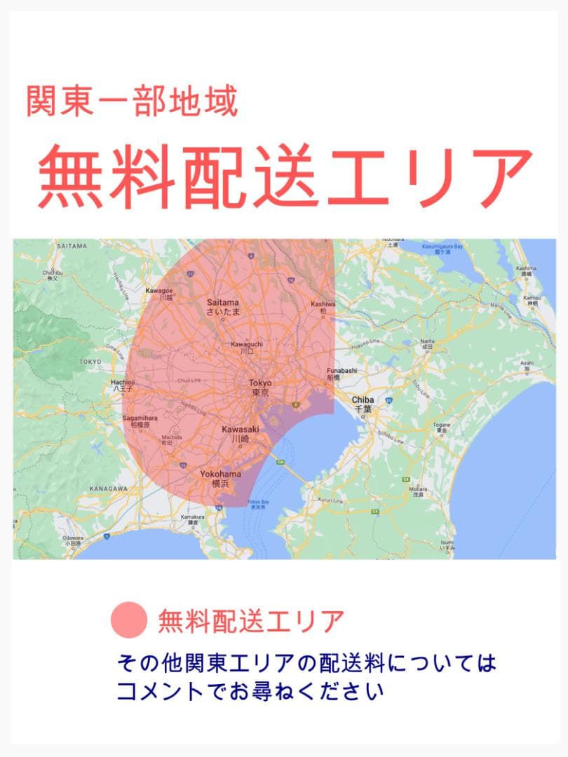 大容量No1モデル パナソニックギュット子供乗せ電動アシスト ZH3171