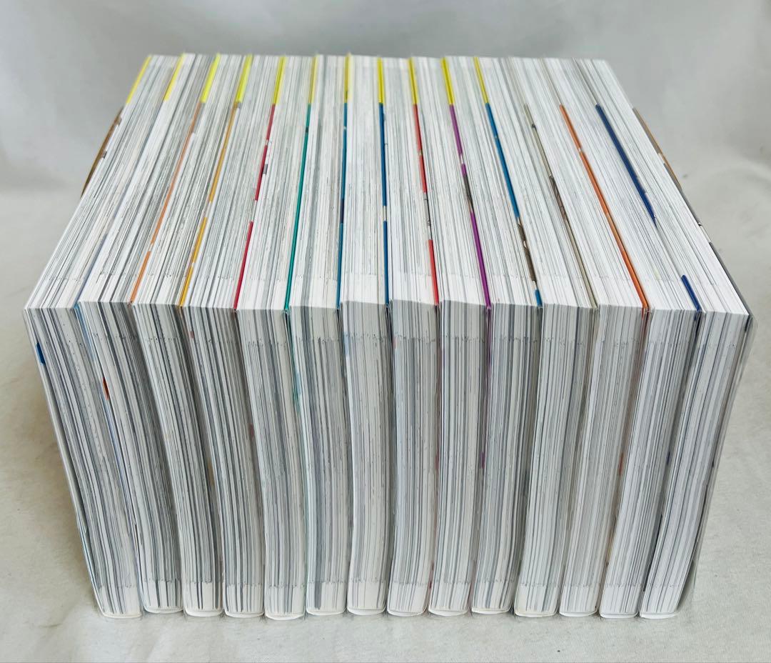 【✨貴重！全巻初版・帯付き・特典付き・比較的美品】氷の城壁 1-14巻全巻セット