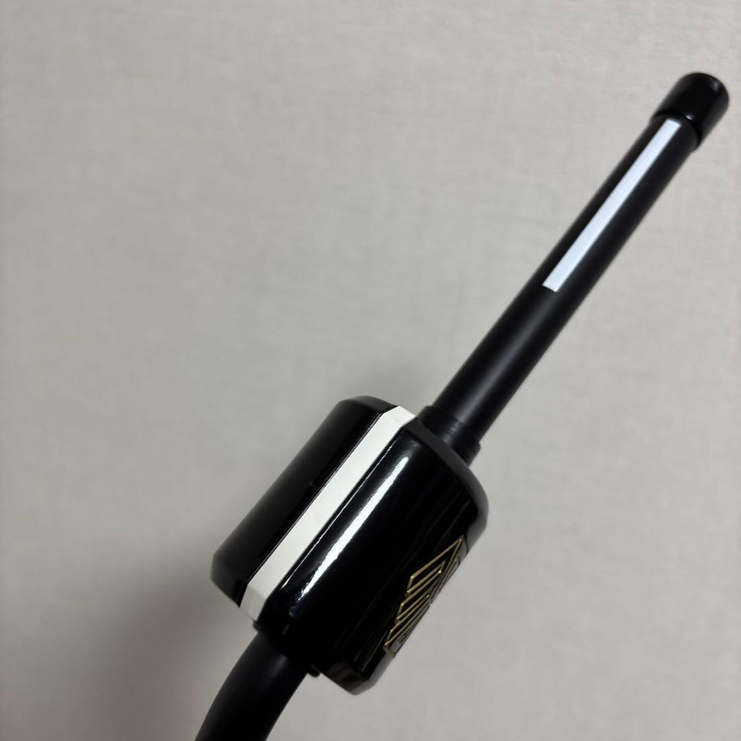 3D Swing Mentor TASKGOLF タスクゴルフ　正規品