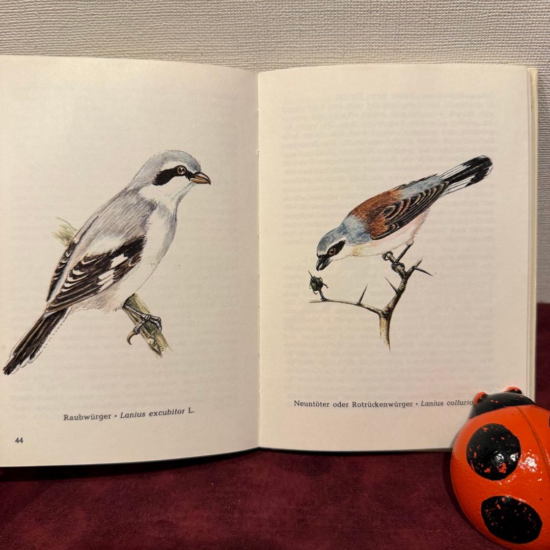 320⑦ドイツ語鳥図鑑3冊セット　洋書古書　ジャンクジャーナル　ボタンニカル
