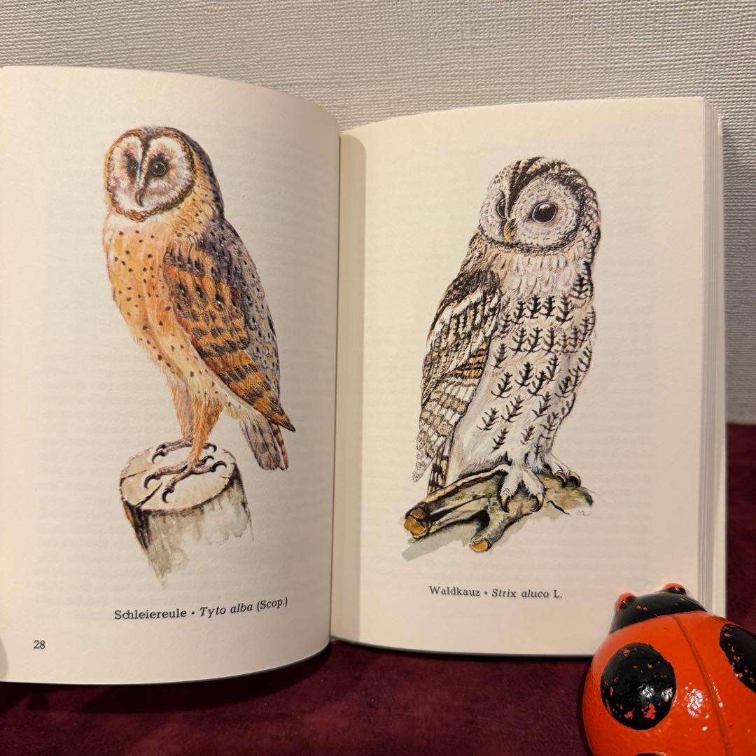 320⑦ドイツ語鳥図鑑3冊セット　洋書古書　ジャンクジャーナル　ボタンニカル