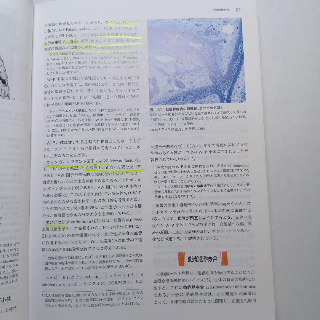 標準組織学各論第6版
