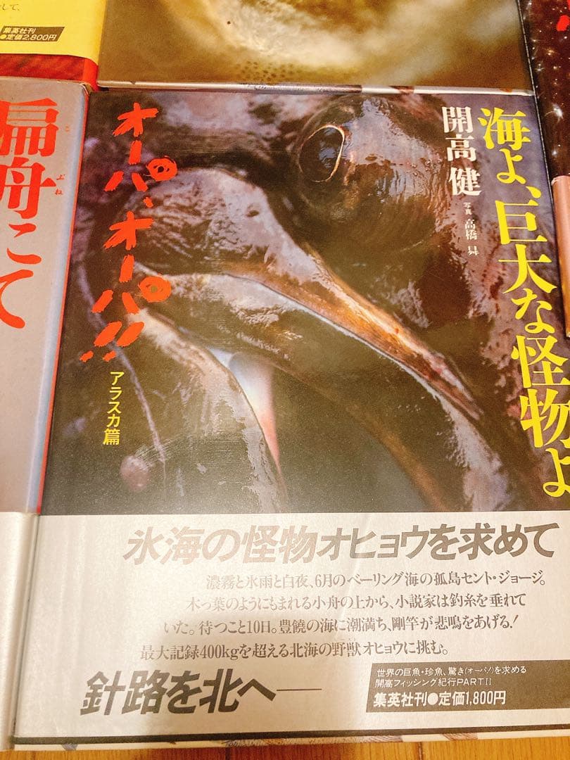 開高健　オーパ、オーパ！！　本　BOOK 5冊まとめ売り