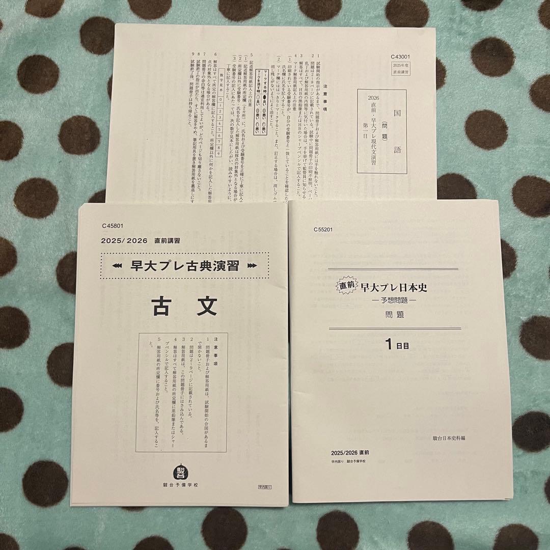 駿台 教科書 早稲田大学 慶應大学 早大 慶大 早慶大 まとめ売り