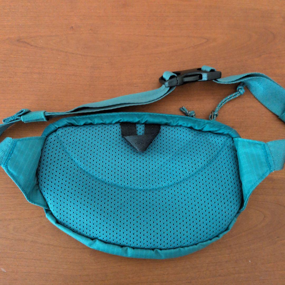 バッグ patagonia LW Travel Mini Hip Pack TTPS