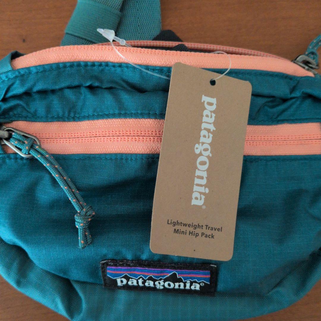 バッグ patagonia LW Travel Mini Hip Pack TTPS