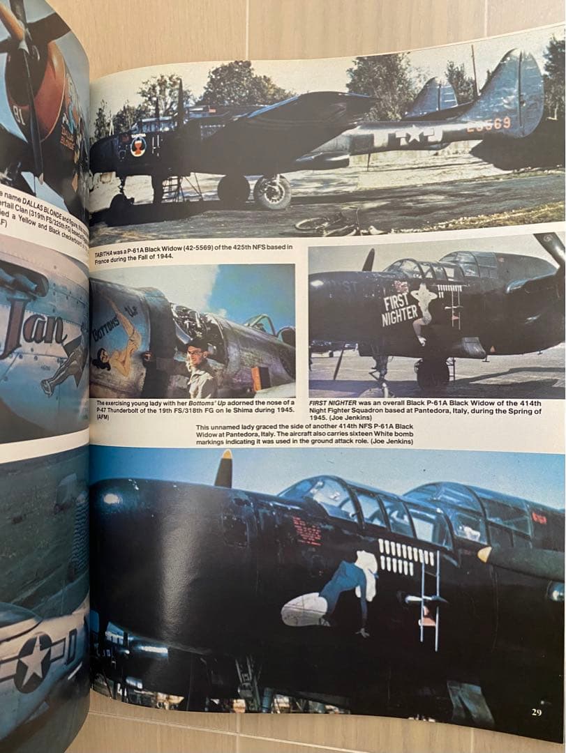 ノーズアート バーガス 戦闘機 ピンナップ ガール バーガスガール 爆撃機