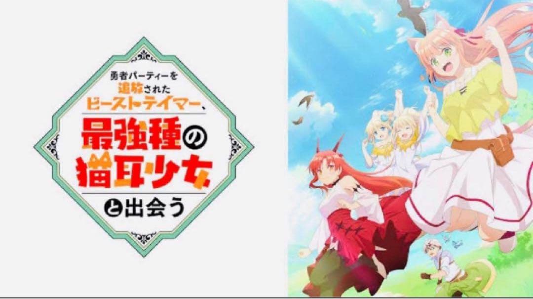 勇者パーティーを追放されたビーストテイマー 最強種の耳猫少女と出会うDVDセット