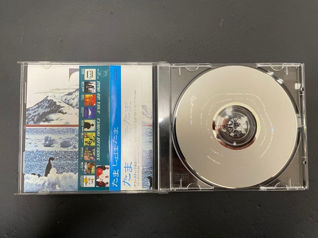 たま　CD 7枚セット　知久寿焼　石川浩二　柳原幼一郎　滝本晃司