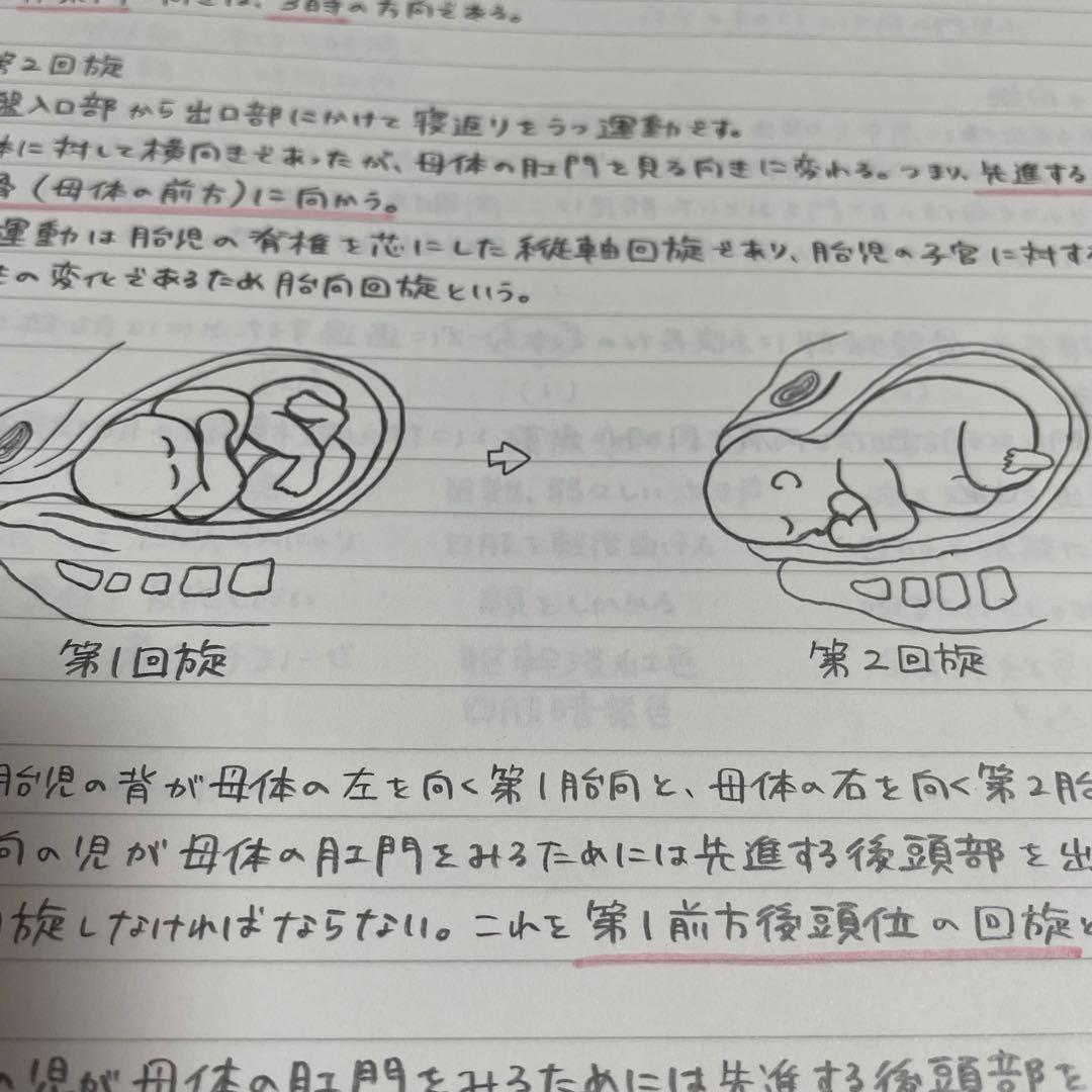 助産師学校セット　まとめノート