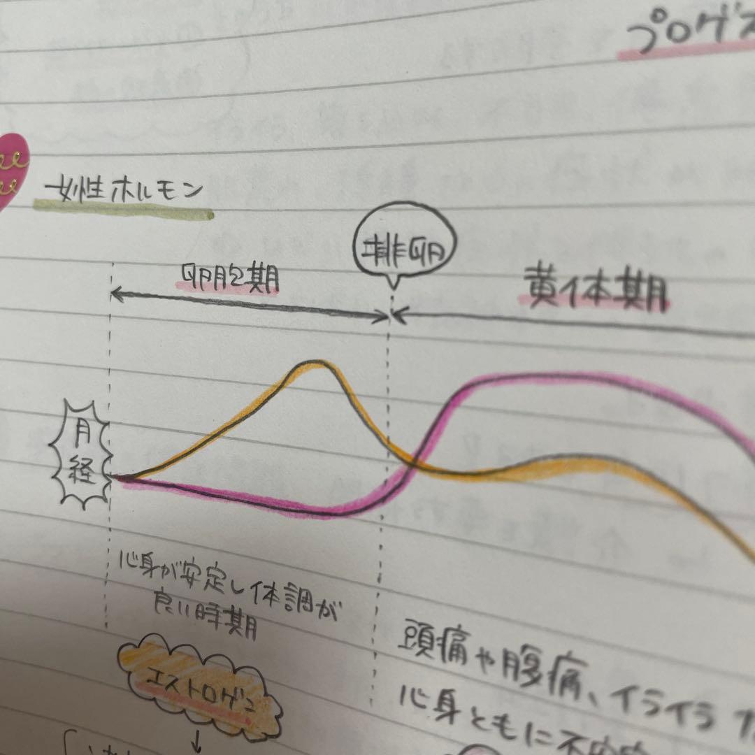 助産師学校セット　まとめノート