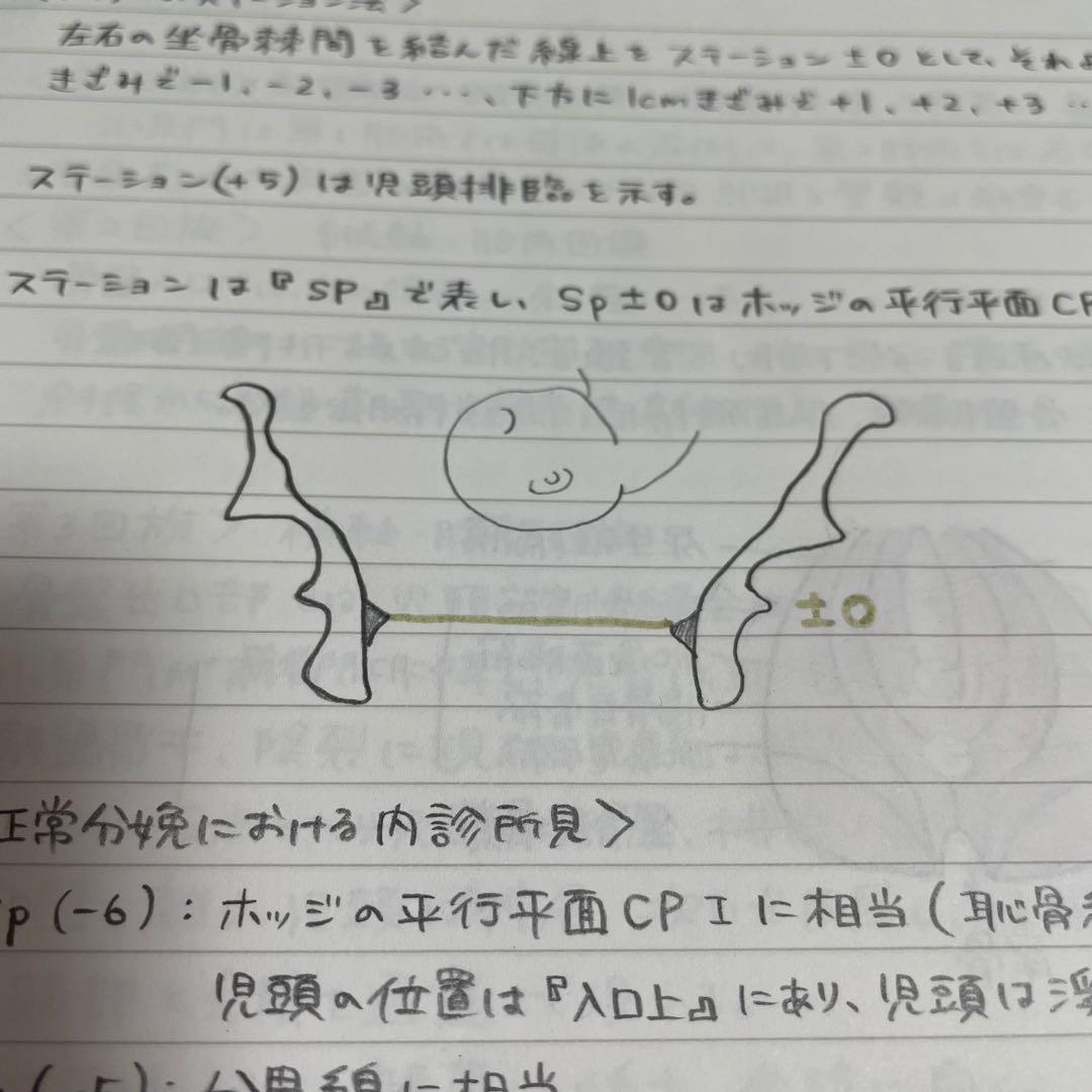 助産師学校セット　まとめノート