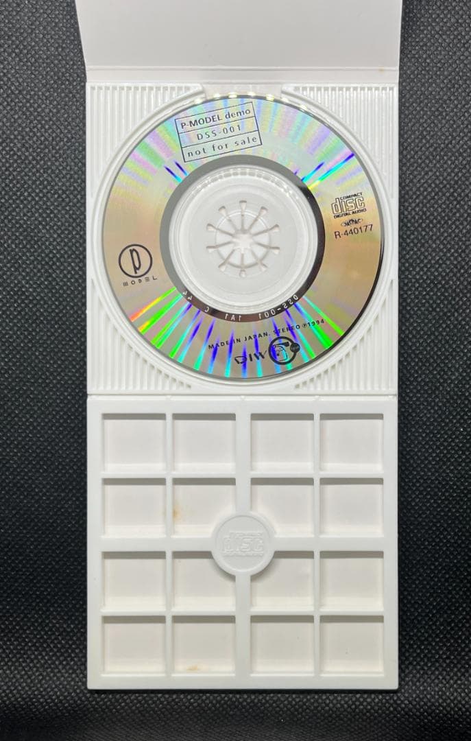 [ 希少 ] P-MODEL demo DSS-001 not for sale