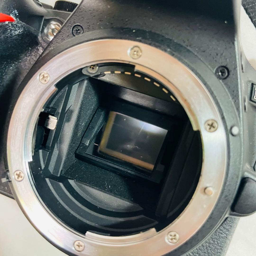 Nikon ニコンノ　D5600 18-55 VR レンズキット デジタル一眼