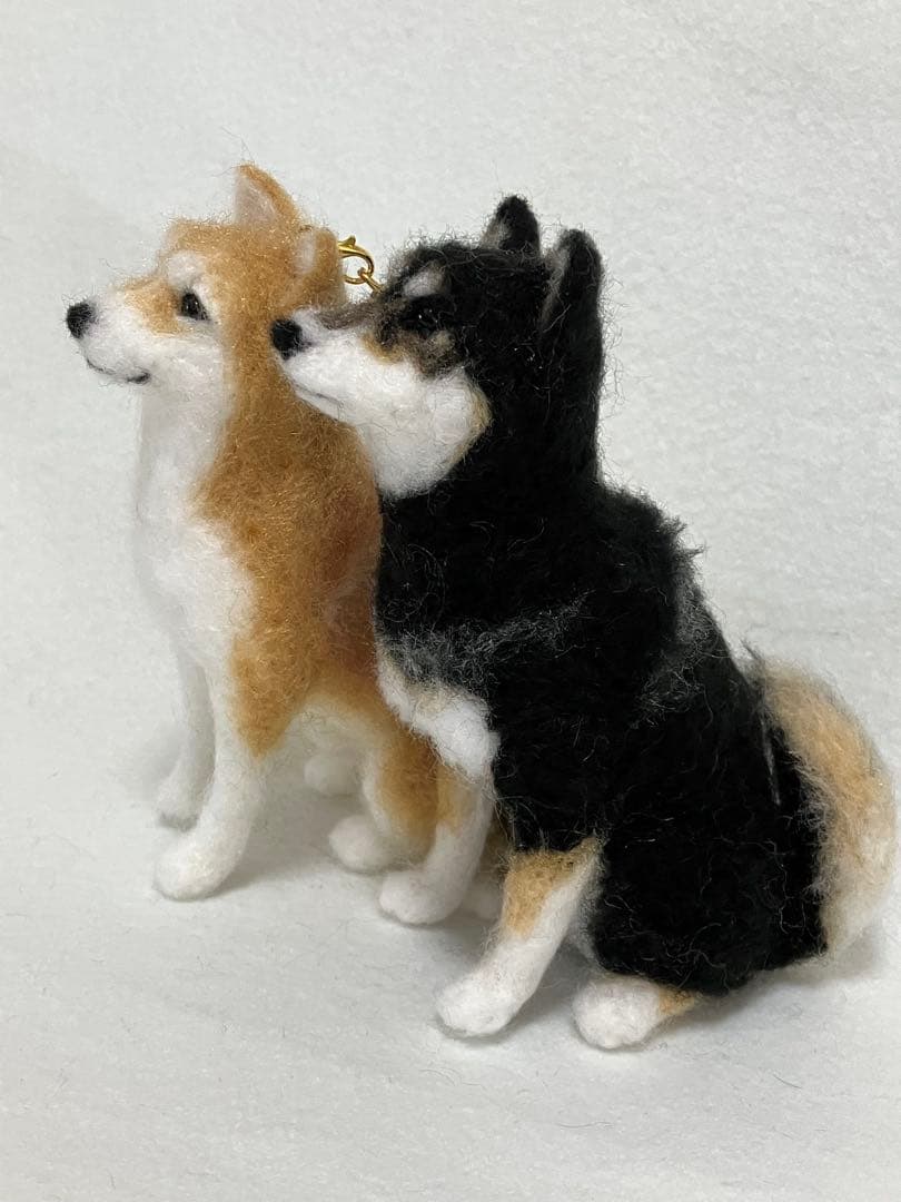 媛