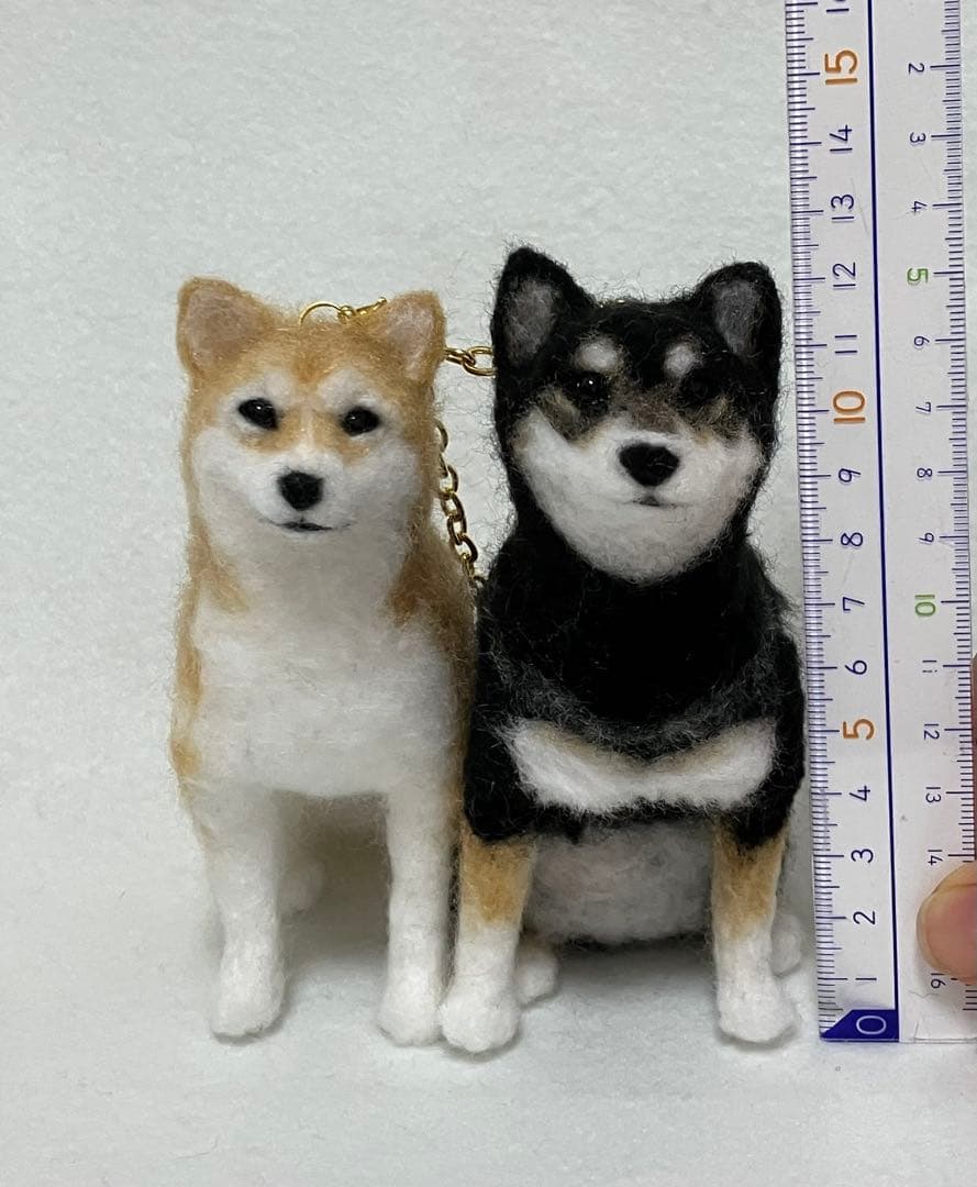 媛