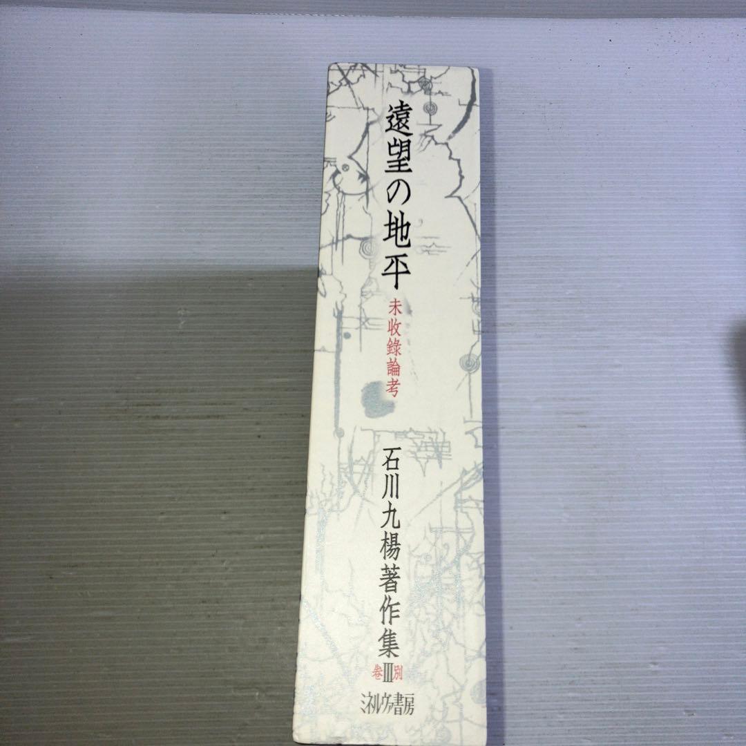 遠望の地平 未収録論考