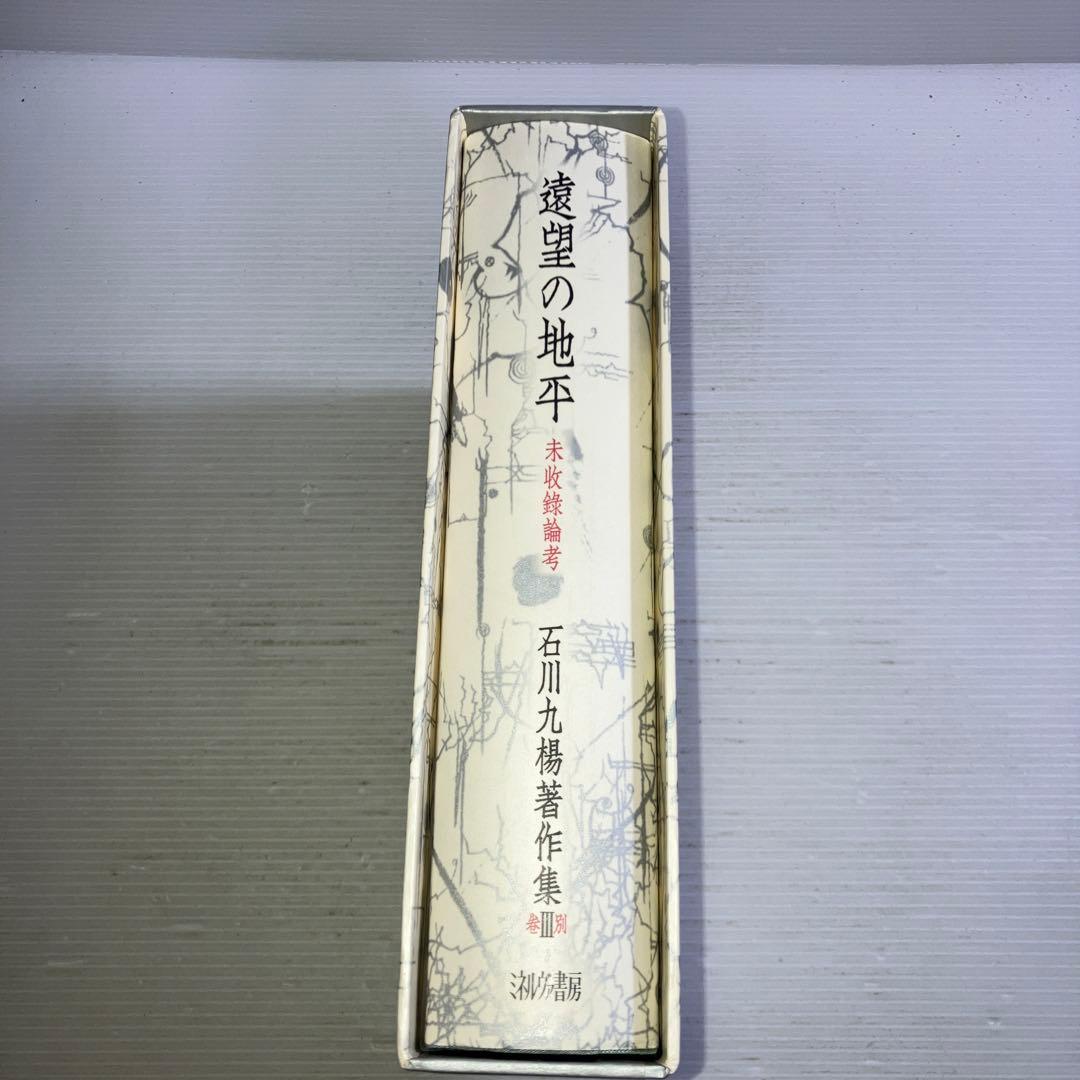 遠望の地平 未収録論考