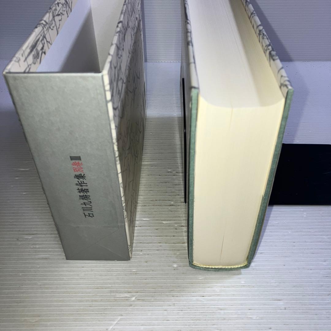 遠望の地平 未収録論考