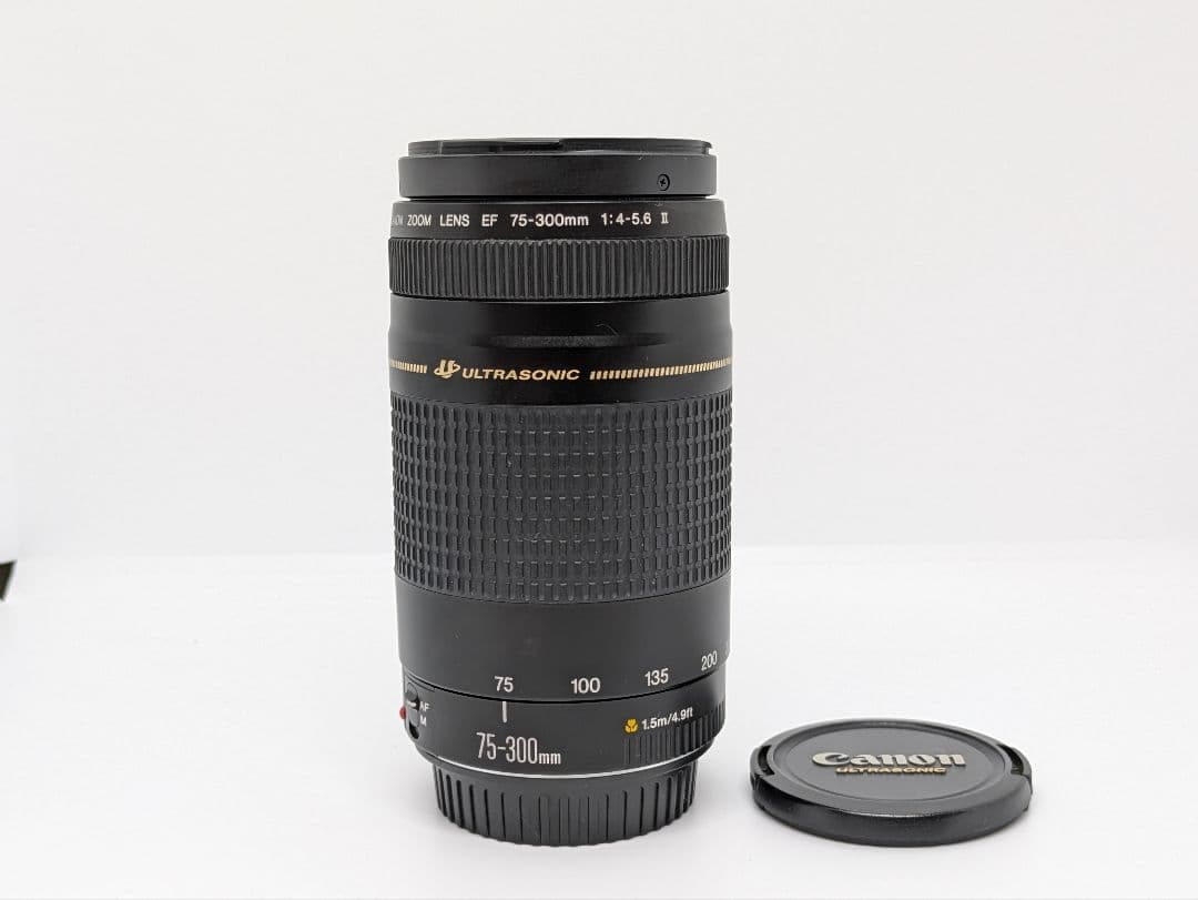 2月9日限定【超望遠レンズ】Canon EF 75-300mm Ⅱ USM